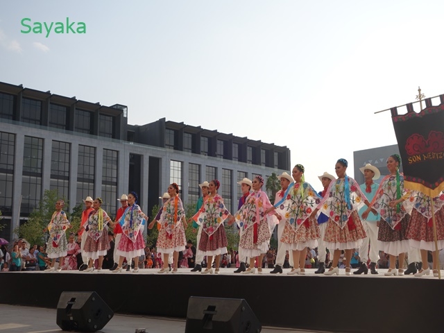 お花の刺繍がカラフル、チアパス州のダンス