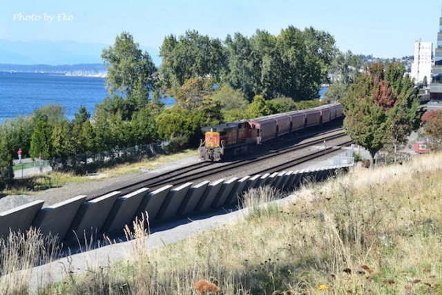 公園の中、海岸線を貨物列車が通っていました