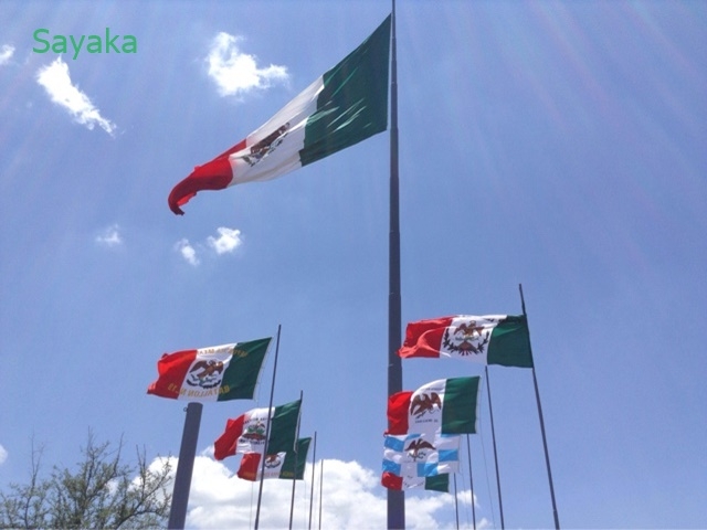 日本最大の10倍以上 メキシコ最大の国旗は 前代未聞のビッグサイズ 成功する留学