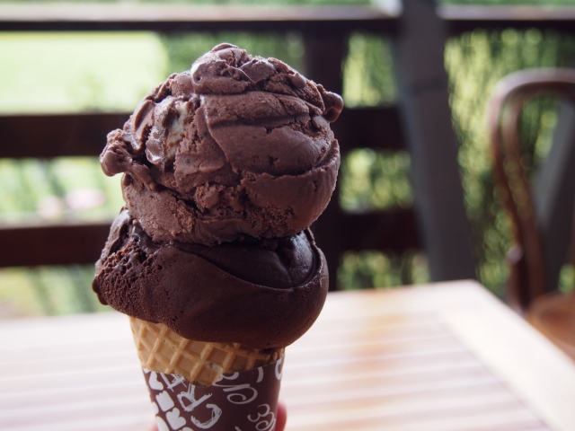 チョコレートのアイスも数種類ありまます
