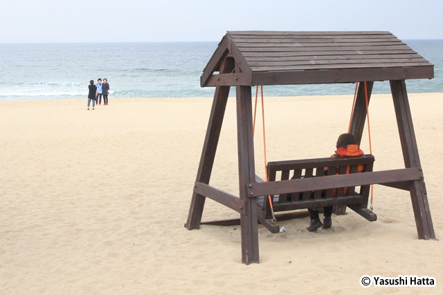 白い砂浜の続く韓国の東海岸。夏になると大勢の海水浴客で賑わう