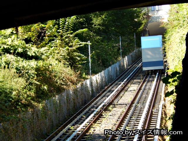 グッチ鉄道の車両