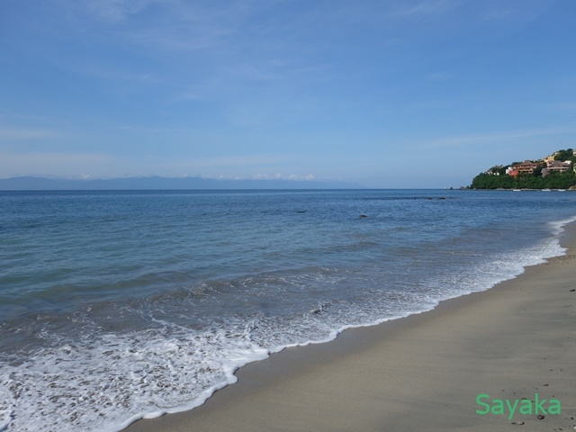 紺碧の海を独り占め