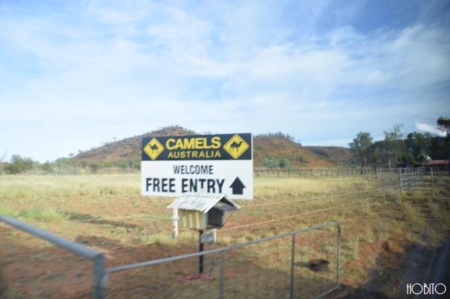キャメルズ・オーストラリアの看板