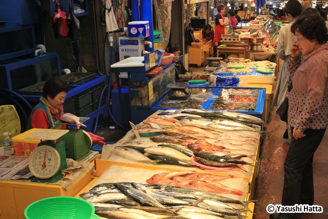 韓国の在来市場。海沿いの地域では新鮮な魚が店頭にずらりと並ぶ