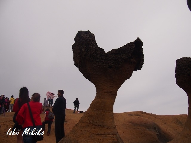 くじらの尾のような蕈狀岩