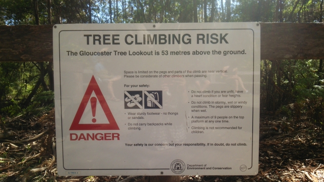 安全に注意しながら、木登りを楽しみましょう