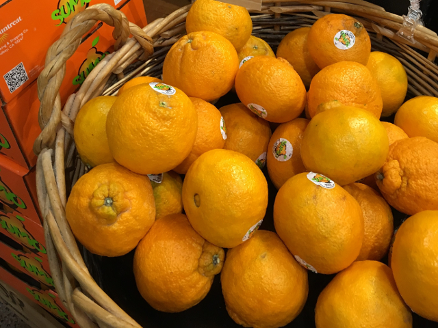 SUMOとして販売されている柑橘のデコポン