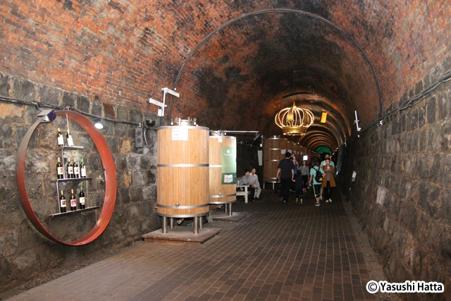 ワイントンネルの内部。温度、湿度の安定した中でワインを貯蔵