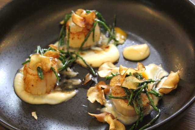 Japanese Scallops