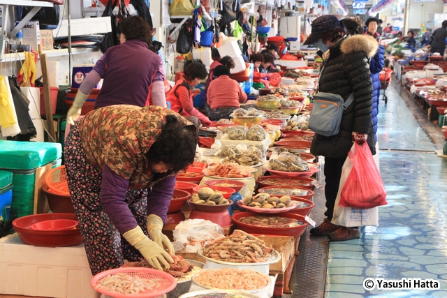 泗川の三千浦港にある龍宮市場。水揚げされたばかりの魚介が並ぶ