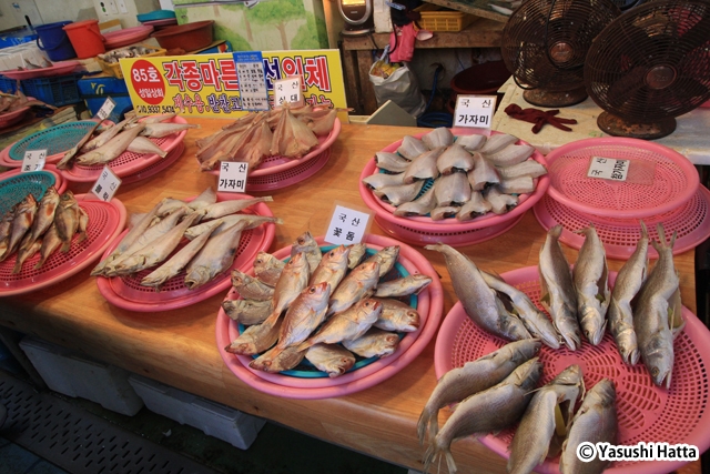 干物は日常の食事のみならず、祭祀用としても欠かせないもの