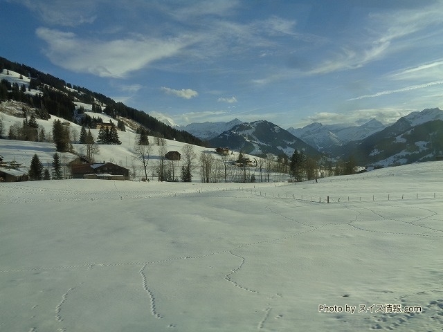 一面雪の風景