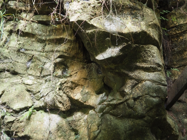 グロウワームケーブスは石灰石の洞窟