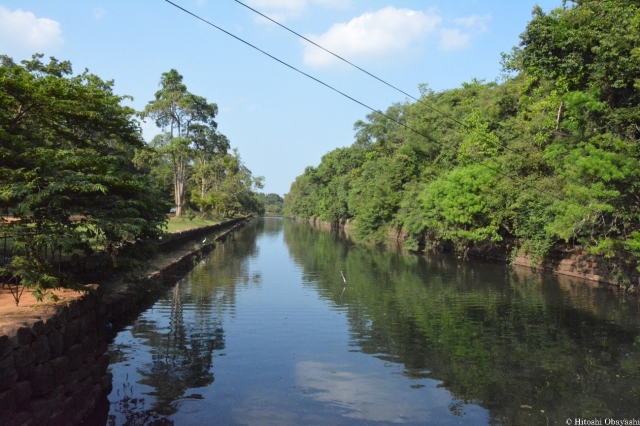 今でも豊かな水を湛えるハスの水路