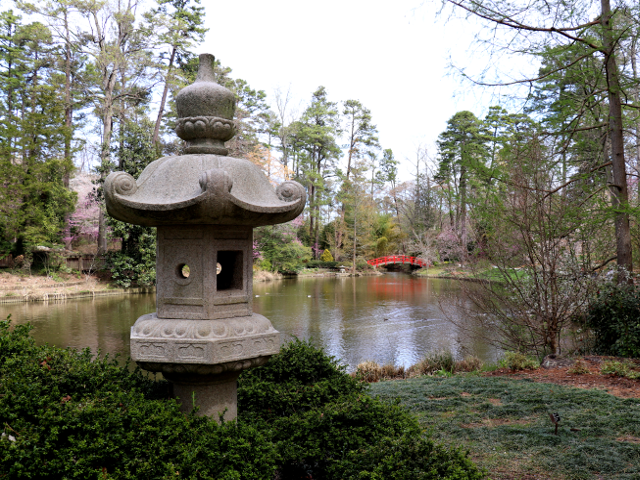 Asiatic Arboretum by Duke Univ