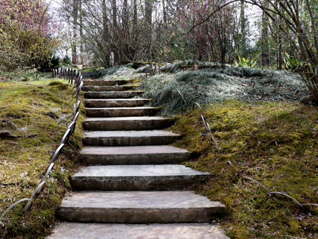 Moss Garden at Duke Gardens