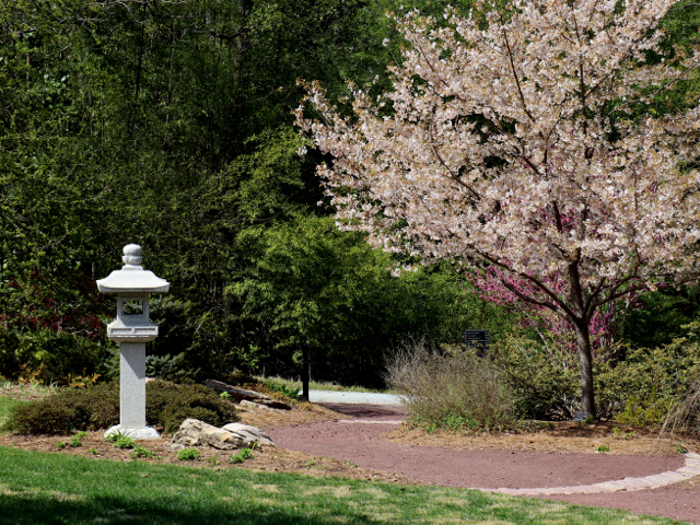 Sarah P Duke Garden at Duke 