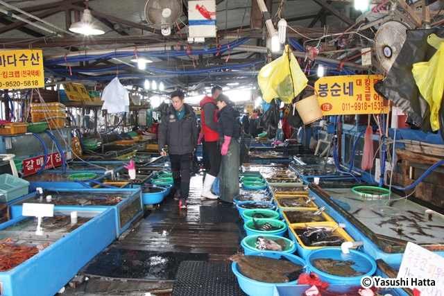 注文津港に隣接して露店の集まる座板（チャパン）水産物市場