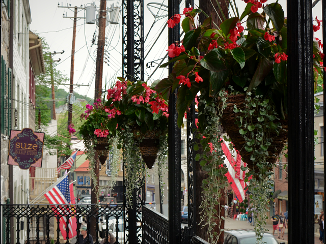 Flowers at the old apartment