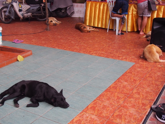 妙緑禅林/Miaw Yuan Chan Lin Temple