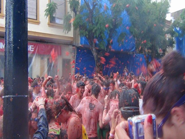 ★トマト祭★ 甘ーいフルーツトマトあります🍅 | 小鈴ファーム