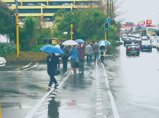 雨のニュージーランド