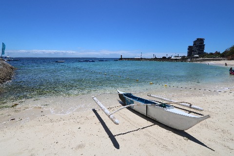 海