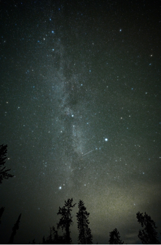 イエローナイフで見た満点の星空