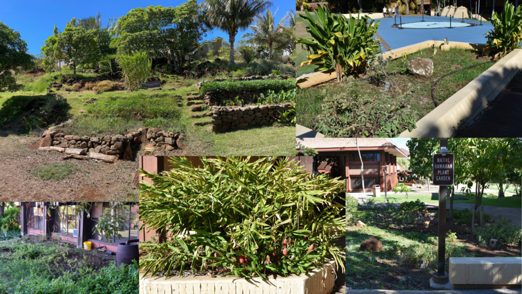 カピオラニコミュニティカレッジ（Kapiʻolani Community College）-campus2