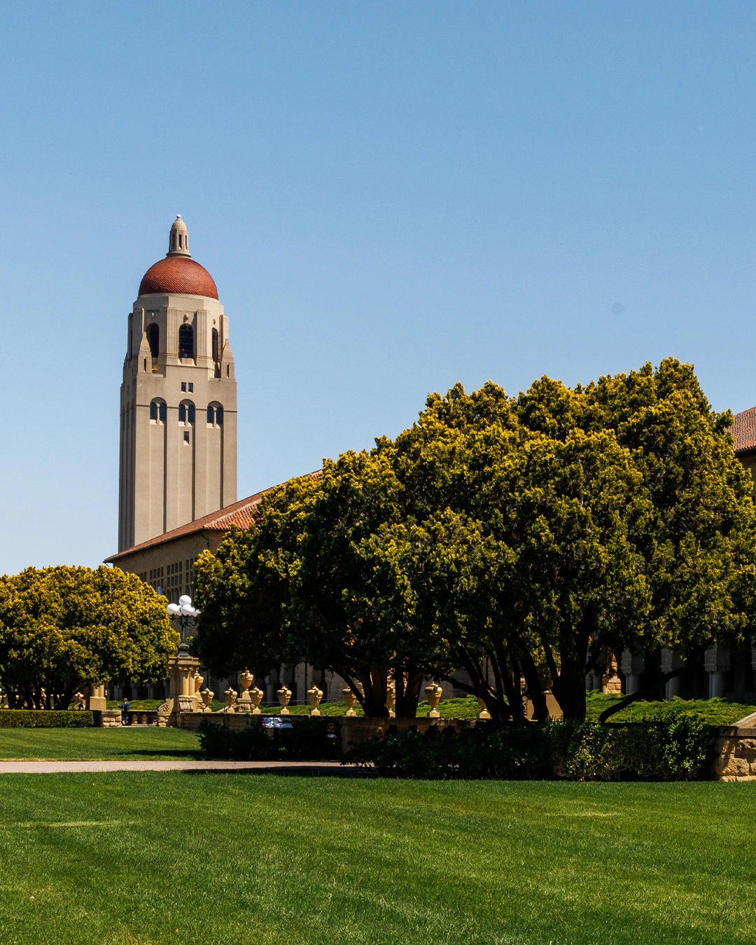 Stanford University-campus3