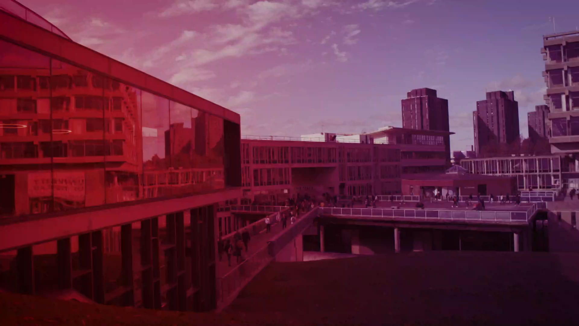 University of Essex-campus2