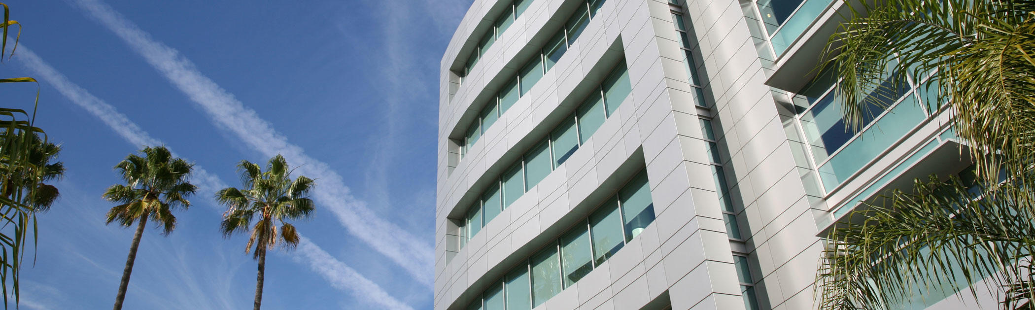 California State University キャンパス