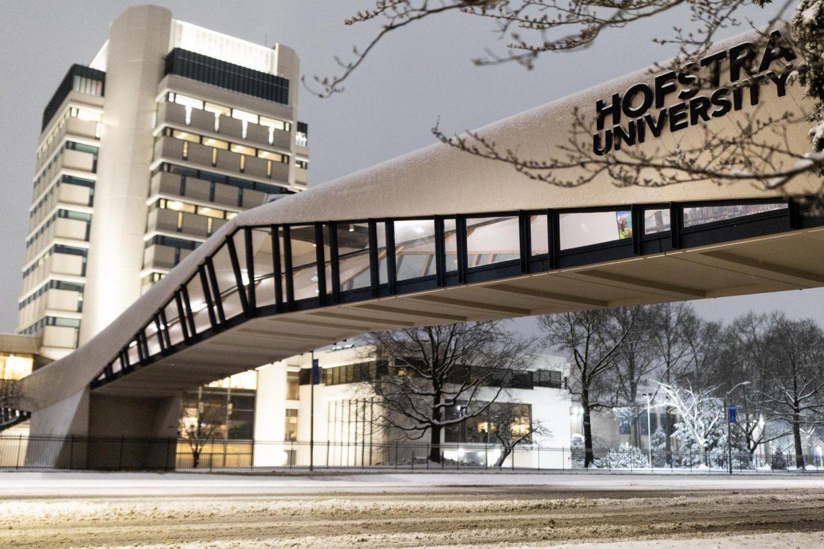 Hofstra University-campus3