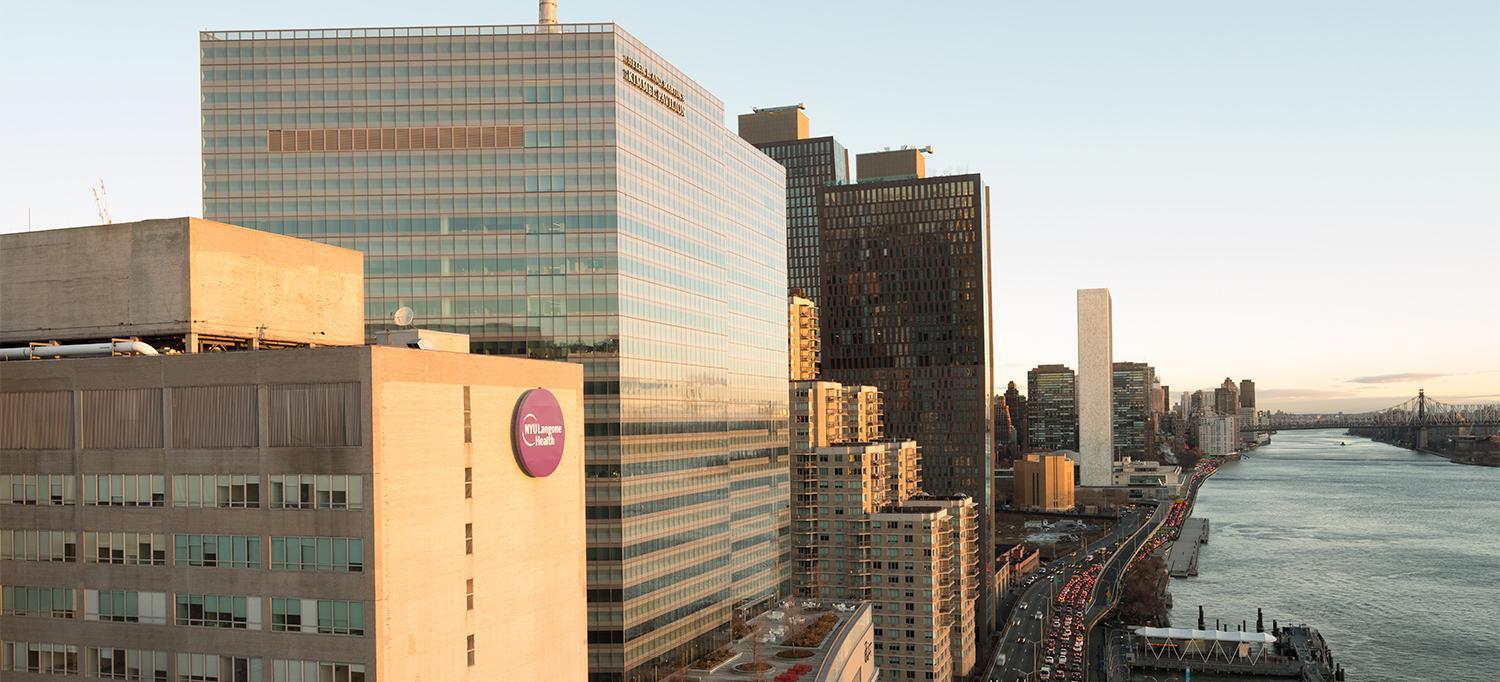 ニューヨーク大学（New York University, NYU）-campus3