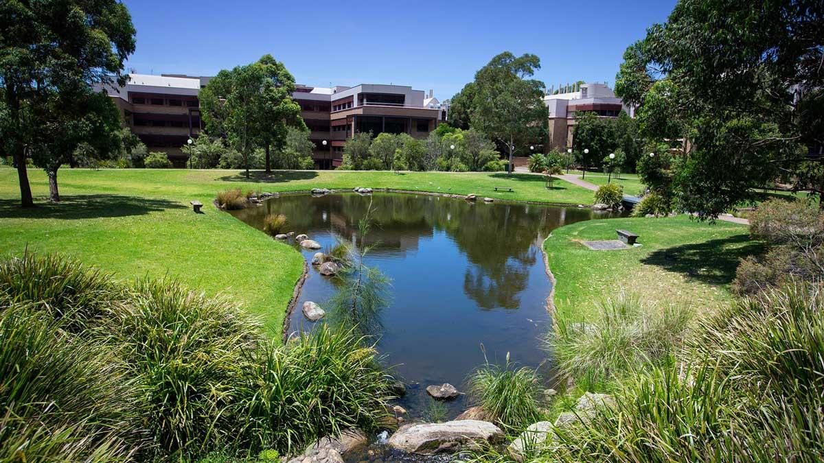 ウーロンゴン大学(University of Wollongong, UOW) キャンパス