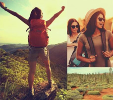 ワーキングホリデー