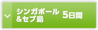 シンガポール&セブ島5日間