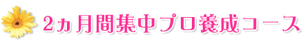 2ヵ月間集中プロ養成コース