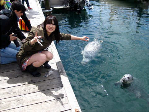 グローバル・ビレッジ・イングリッシュ・センターズ