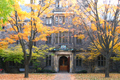 学校イメージ