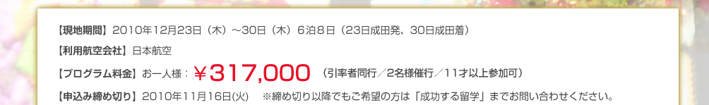 プログラム料金　¥317,000
