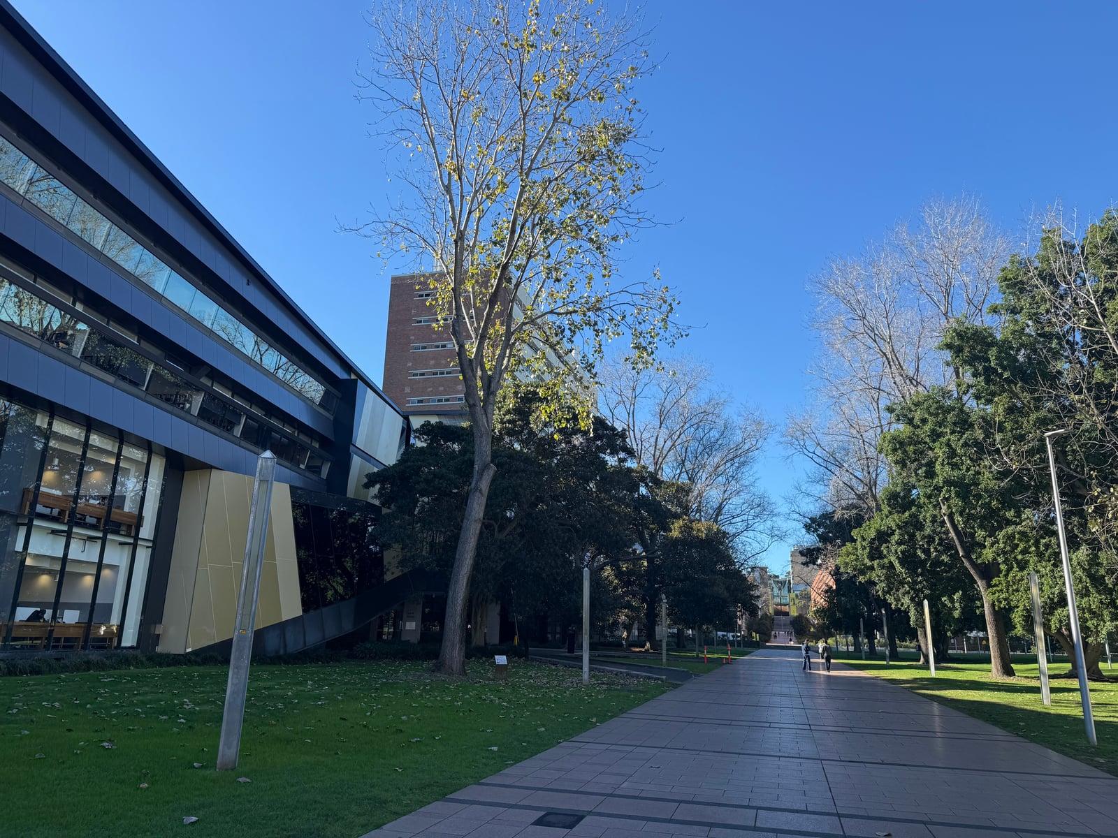 UNSW訪問時に撮影した、並木道が続くキャンパスのメインストリート