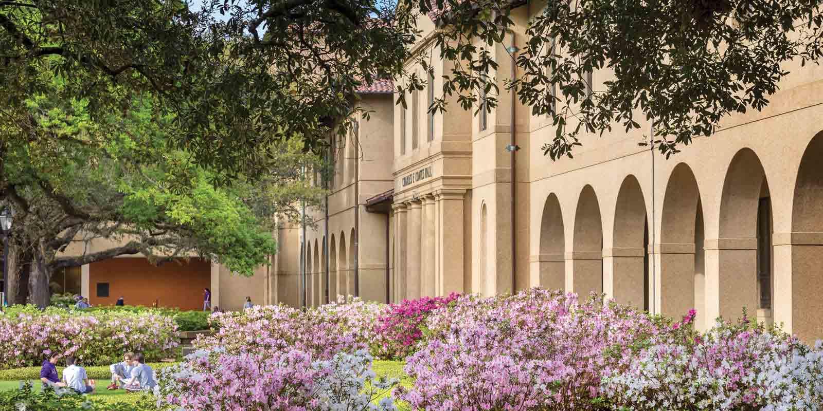 LSU 校舎